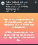 Ảnh quê