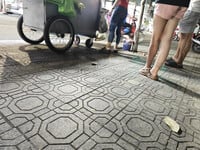 Duingonxinh