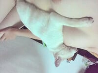 hi êhhdh